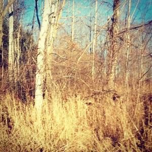 Meet your Posher, Austin